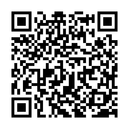 QR code for NIZ369