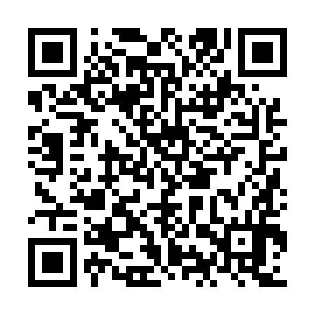 QR code for NIZ594