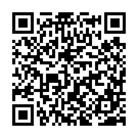 QR code for NIZ606