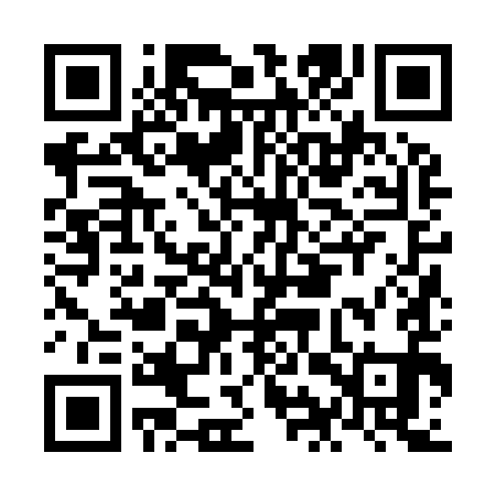 QR code for NIZ991