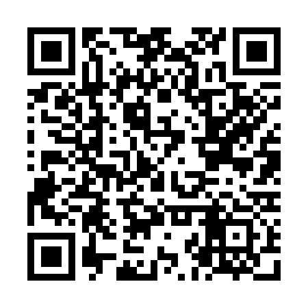 QR code for NJV333