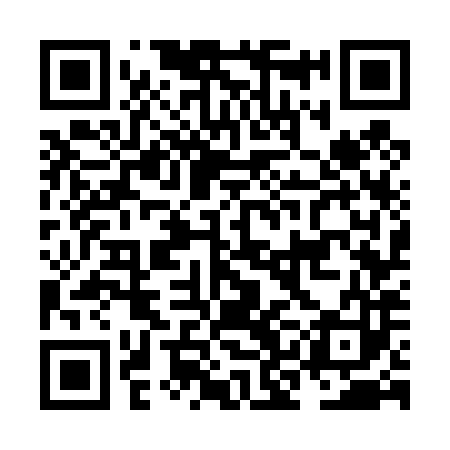 QR code for NKG483