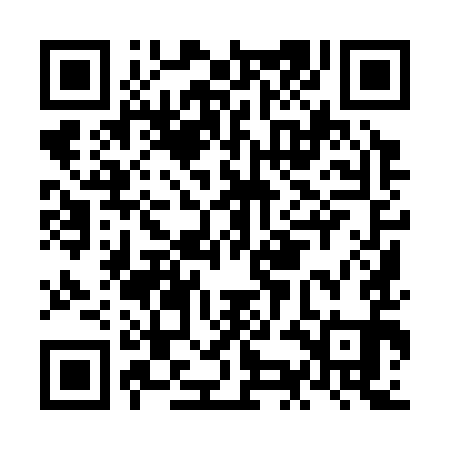 QR code for NKI391