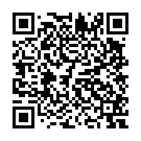 QR code for NKO401
