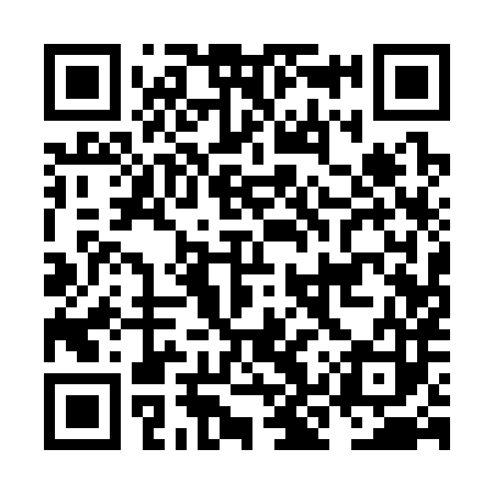 QR code for NKQ383