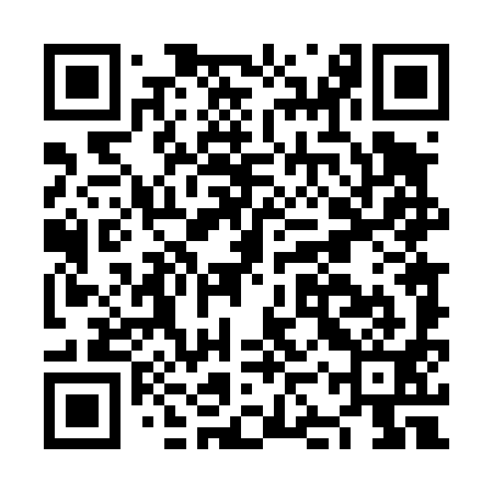 QR code for NKT491