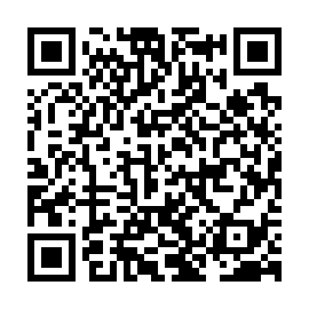 QR code for NKU739