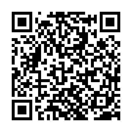 QR code for NKX161