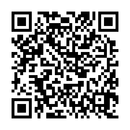 QR code for NLF384