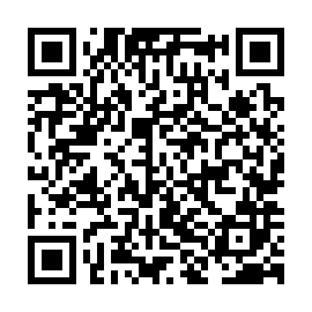 QR code for NLN382