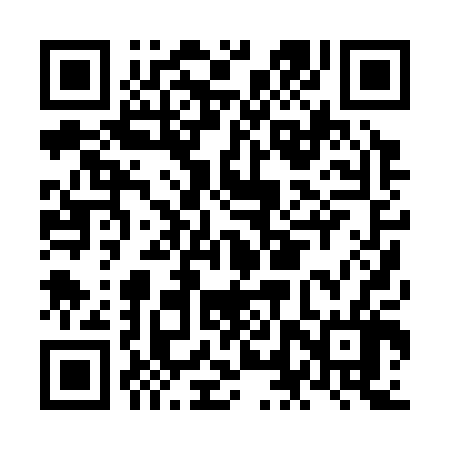 QR code for NLP306