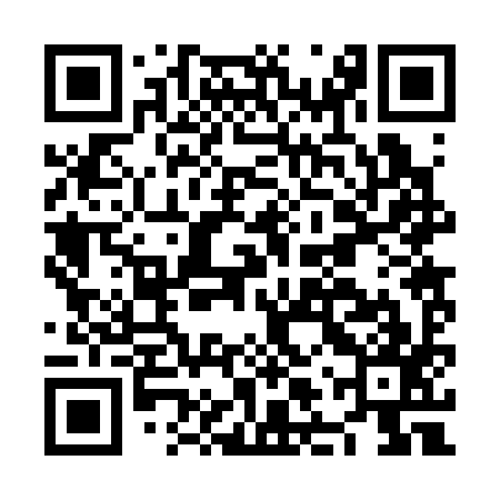 QR code for NLR397