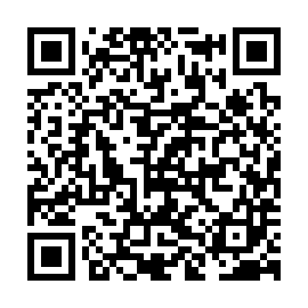 QR code for NLU383