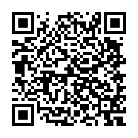 QR code for NME494