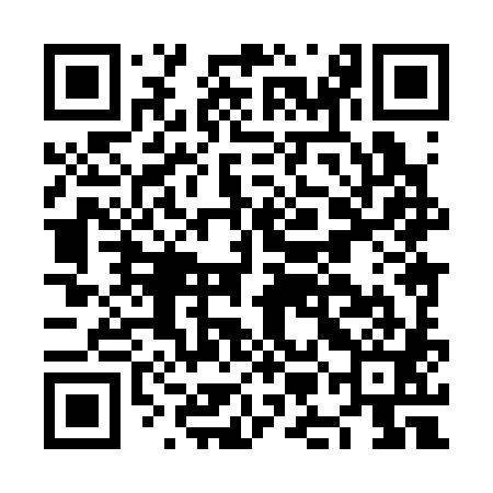 QR code for NMH381