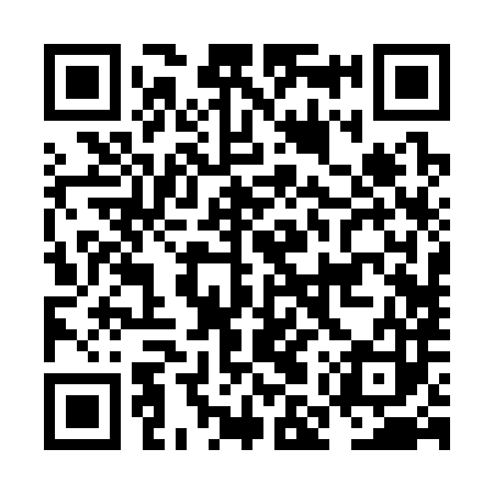 QR code for NMR383