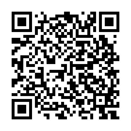 QR code for NMS381
