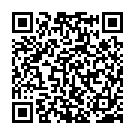 QR code for NMU333