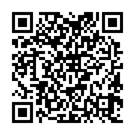 QR code for NNE389