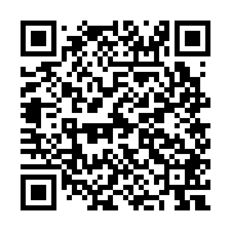 QR code for NNG348