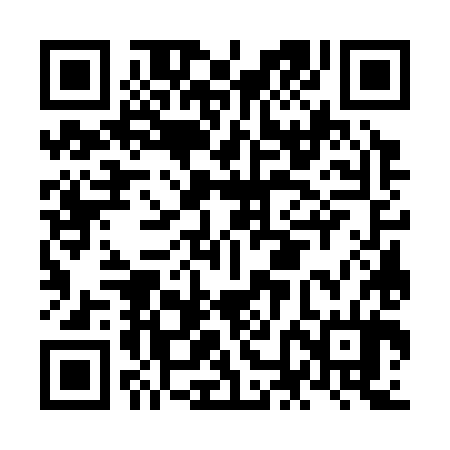 QR code for NNG384