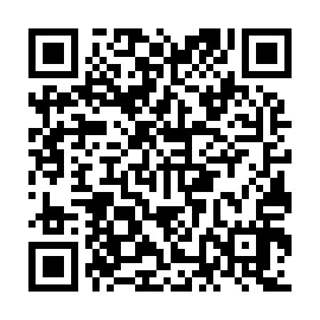 QR code for NNG917