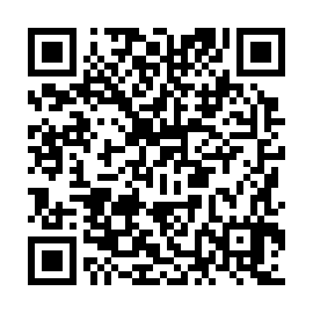 QR code for NNH387