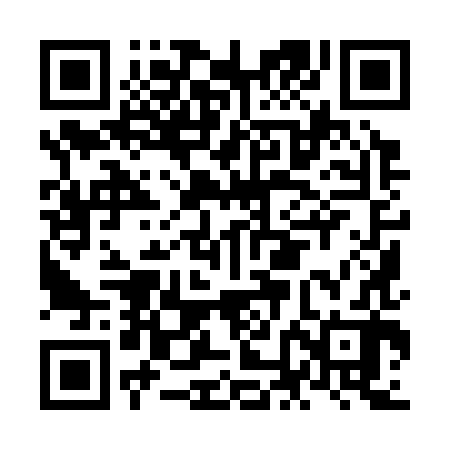 QR code for NNI382