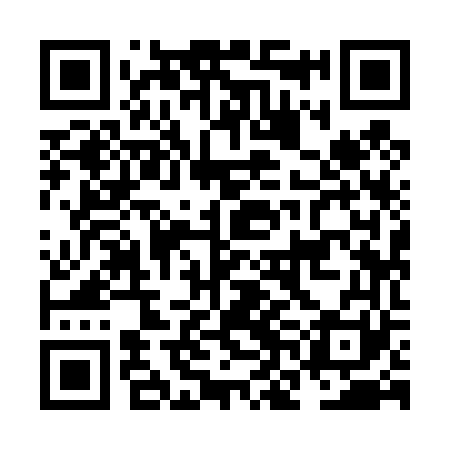 QR code for NNI461