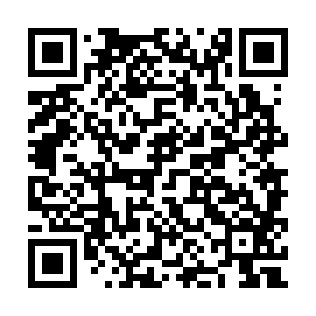 QR code for NNN386