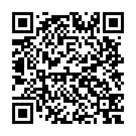 QR code for NNO539