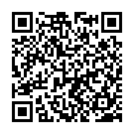 QR code for NNS334