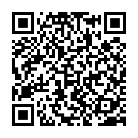 QR code for NNS529