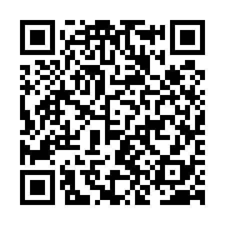 QR code for NNS538