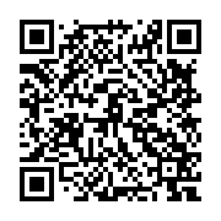 QR code for NNS863