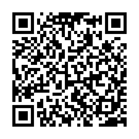 QR code for NNS991