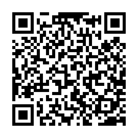 QR code for NNT489