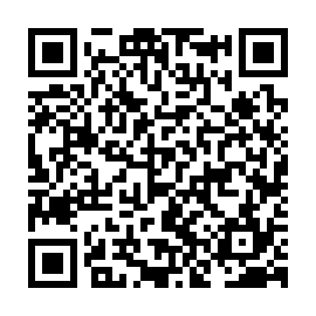 QR code for NNV334