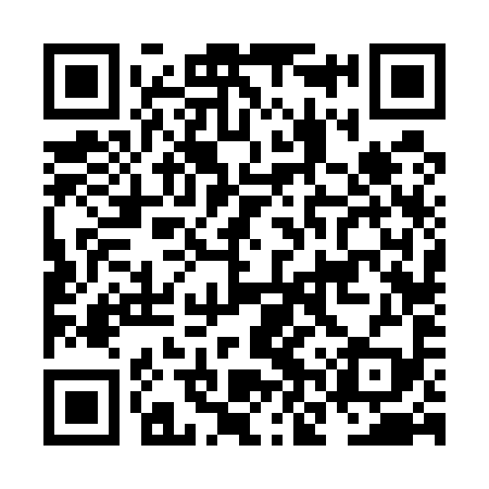 QR code for NNV599