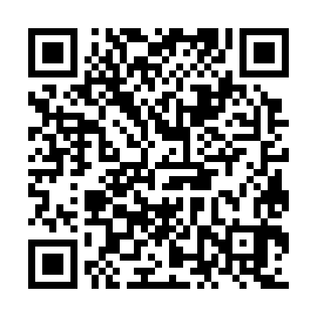 QR code for NNW383
