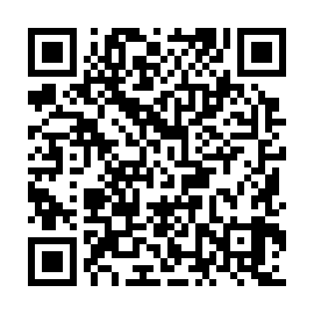 QR code for NNY389