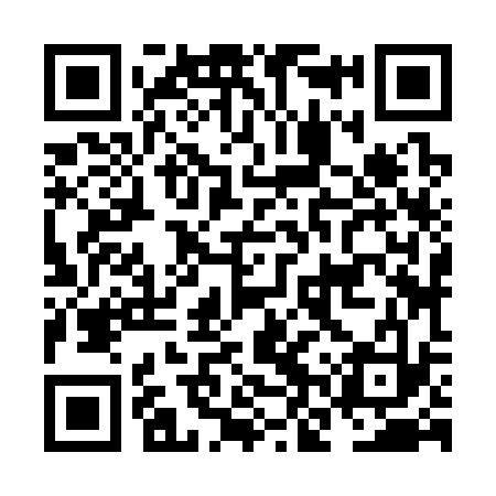 QR code for NNZ333