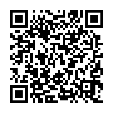 QR code for NOC313