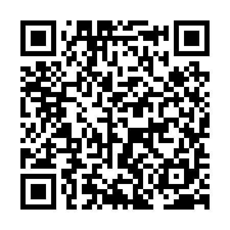 QR code for NOK295
