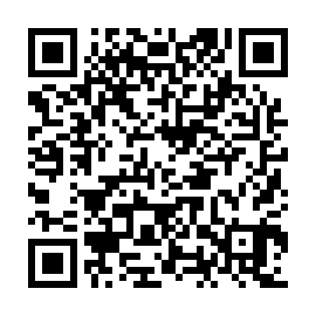 QR code for NOZ101