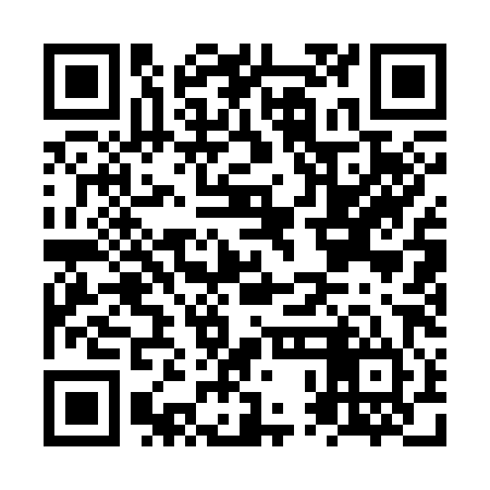 QR code for NPA384