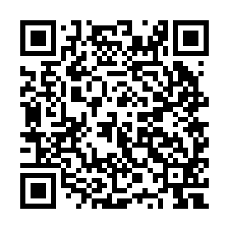 QR code for NPG292