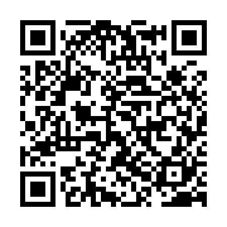 QR code for NPG920