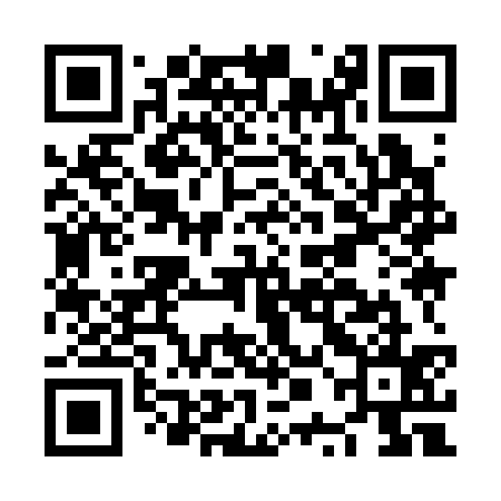 QR code for NPI335