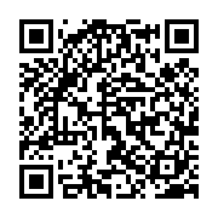 QR code for NPL461